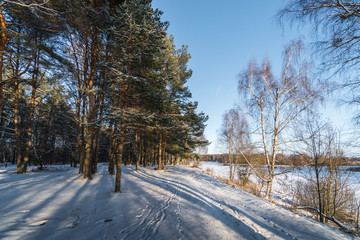 road in winter forest