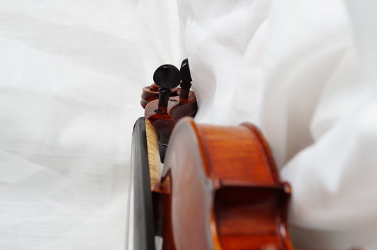 Violine