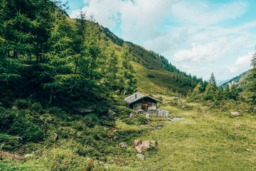 Cottage in the Woods