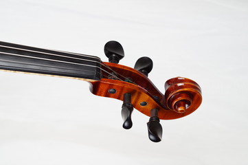 Fototapeta na wymiar Schnecke einer Violine