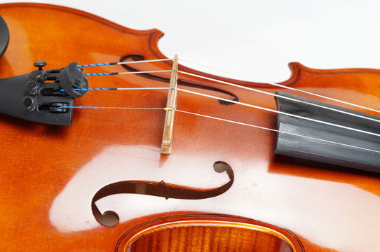 Violine
