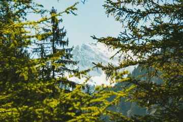View of the icy Alps at Lauterbrunnen Switzerland