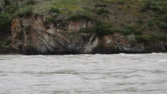 Views of the river Chuya. Altai.