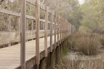 Obraz premium wooden bridge in the forest