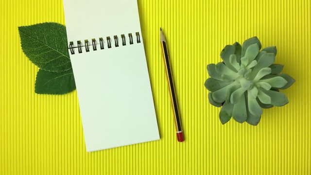 Libreta peque&ntilde;a, una mano pasa las paginas, en un fondo amarillo.