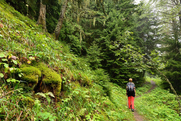 Treking in the mountains of the Borjomi-Kharagauli National Park in Lesser Caucasus. Borjomi, Georgia.