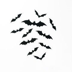 Halloween holiday minimal top view of bats on white background. Halloween minimal concept.