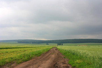 A deserted country road