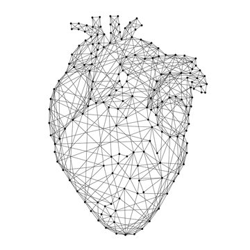 Heart anatomical human organ from abstract futuristic polygonal black lines and dots. Vector illustration.