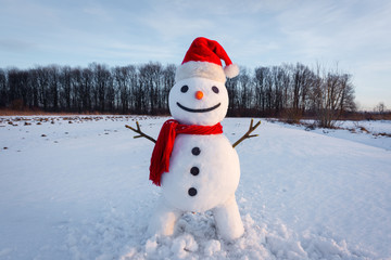 Funny snowman in stylish hat and red scalf on snowy field. Merry Christmass and happy New Year!