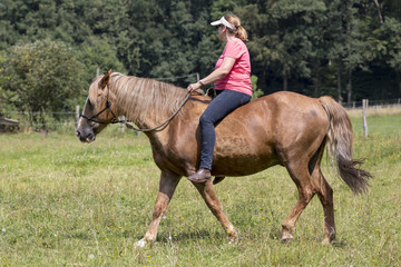Reiterin mit Pferd