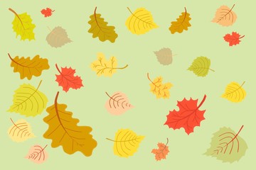 autumn leaves background set