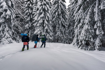 Three tourists with a backpacks in the snowy forest in winter time. Travel concept