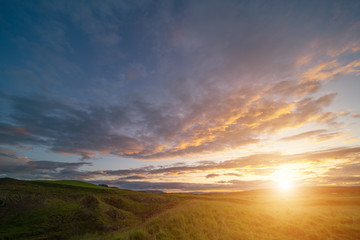 Green grass meadow in iceland with early morning