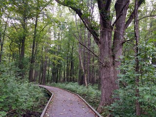 Ottawa National Wildlife Refuge trail