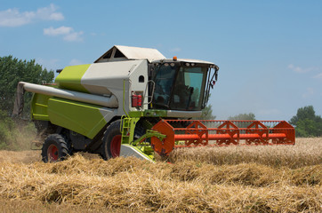 Harvester machine to harvest wheat field working.