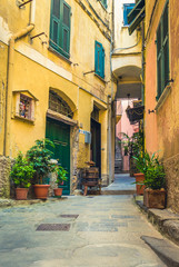 Traditional street in a summer day in Vernazza, Italy.