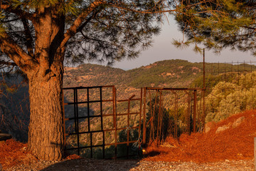 old gate overlooking olive trees and mountains