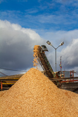 Forestry in Krokom Sweden