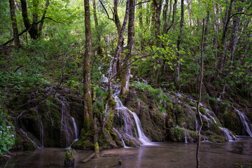 Obraz premium Plitvicer Seen, Kroatien