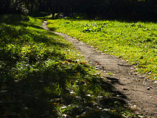 Park in the morning sun