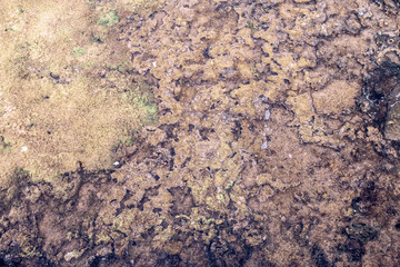 Colorful natural textured pattern