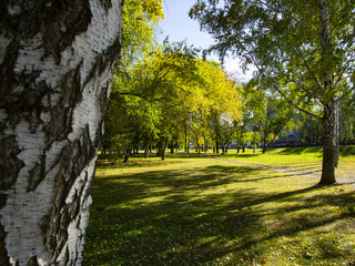 Park in the morning sun