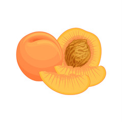 Vector peach. Still life of whole, chopped and half a fruit. Template with a composition of fresh peaches.