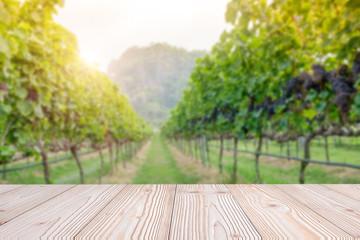 Empty wood table with freshly grapes, Vineyards in autumn harvest background, Mock up for your product display or montage