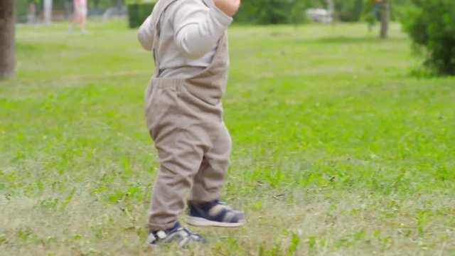 Tracking with tilt down of cute baby boy in overalls taking first steps in park on summer day