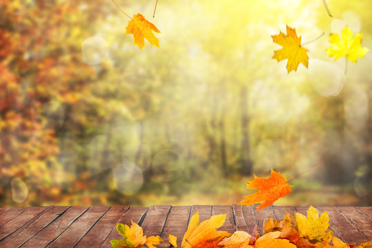 autumn leaves background