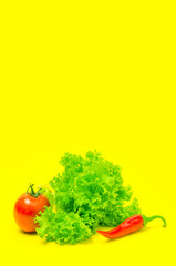 Tomato red pepper and lettuce on yellow background.