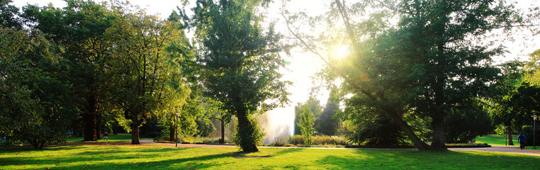 sunset in a city park in late summer