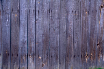 Fototapeta premium Wooden wall texture, wood background.
