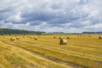 Haystack and straw stacks on cleaned field. Agricultural autumn landscape