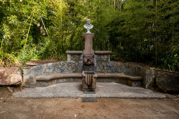 Fuente de piedra entre la maleza
