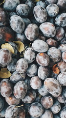 Processed with VSCO with hb2 preset