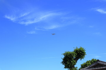 日本　大阪の空