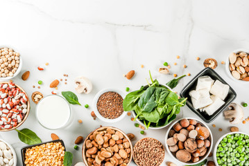 Vegan  protein sources