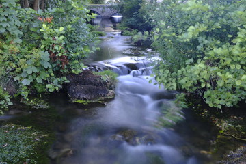Arroyo
