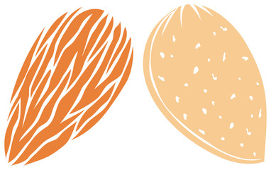almond icons vector illustration
