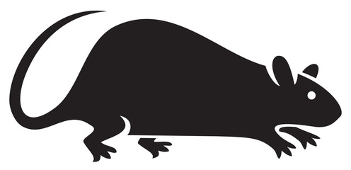 silhouette of rat vector illustration