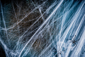 Halloween background with cobwebs