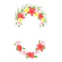 Hawaii face element carnival mask