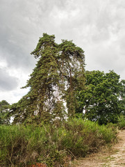 Rundgang Wahner Heide 