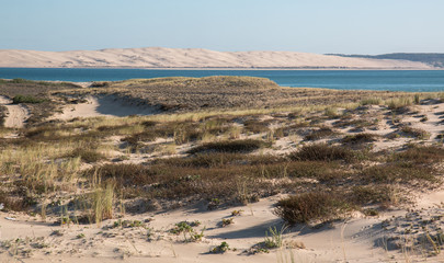Vue sur la dune du Pyla depuis le Cap Ferret