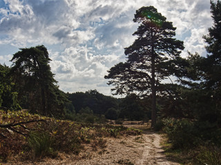 Rundgang Wahner Heide 