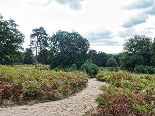 Rundgang Wahner Heide 