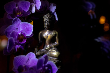 Buddha Thai Thaimassage