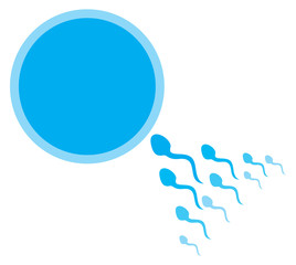 Sperm and egg cell vector illustration